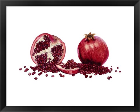 Framed Watercolor Pomegranate Print