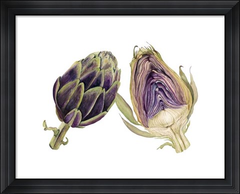 Framed Watercolor Artichoke Print
