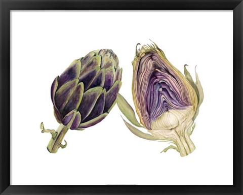 Framed Watercolor Artichoke Print