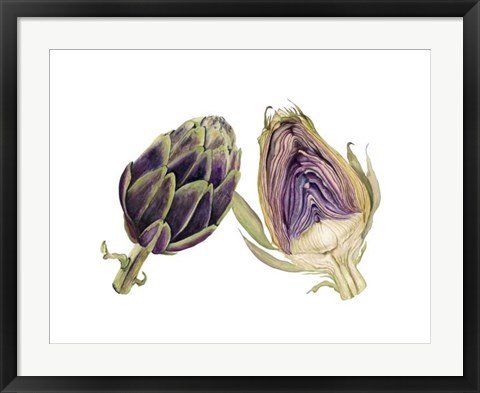 Framed Watercolor Artichoke Print