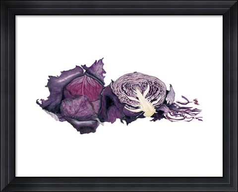 Framed Watercolor Purple Cabbage Print