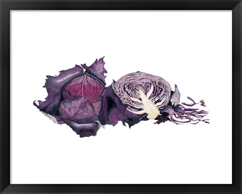 Framed Watercolor Purple Cabbage Print
