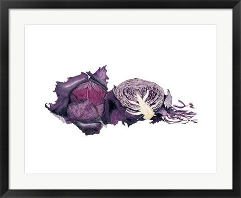 Framed Watercolor Purple Cabbage Print