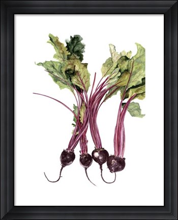 Framed Watercolor Beets Print