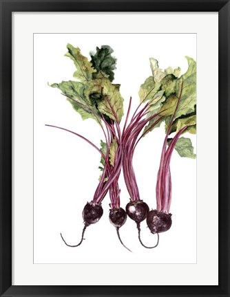 Framed Watercolor Beets Print