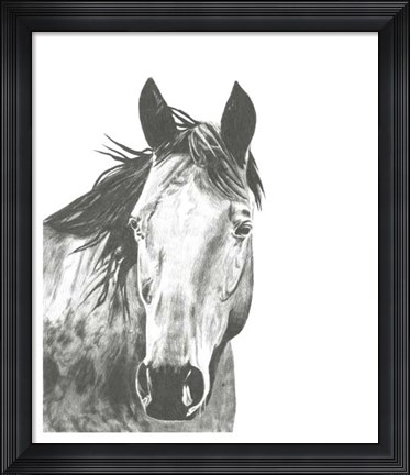 Framed Wildlife Snapshot: Horse I Print