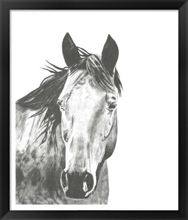 Framed Wildlife Snapshot: Horse I Print