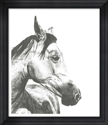 Framed Wildlife Snapshot: Horse II Print