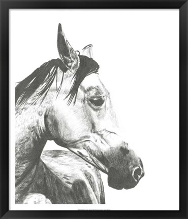 Framed Wildlife Snapshot: Horse II Print