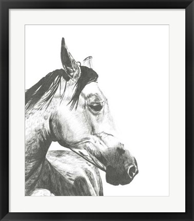 Framed Wildlife Snapshot: Horse II Print