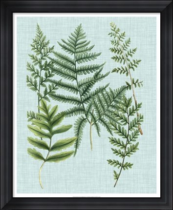Framed Spa Ferns I Print