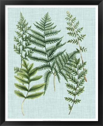 Framed Spa Ferns I Print