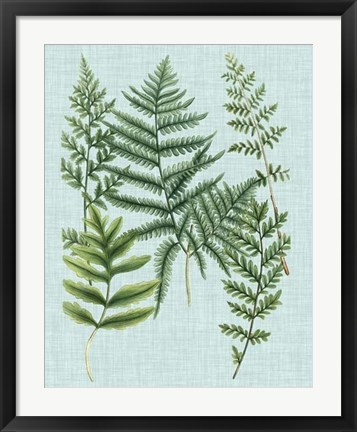 Framed Spa Ferns I Print