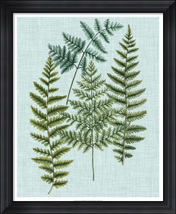 Framed Spa Ferns II Print