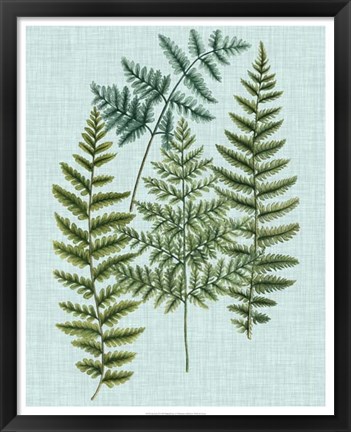 Framed Spa Ferns II Print