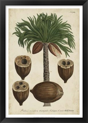 Framed Vintage Tropicals I Print