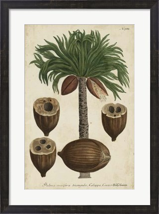 Framed Vintage Tropicals I Print