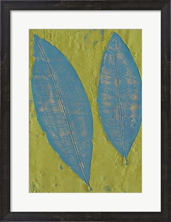 Framed Tropicale II Print