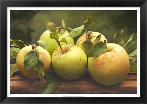 Framed Jill&#39;s Green Apples I Print