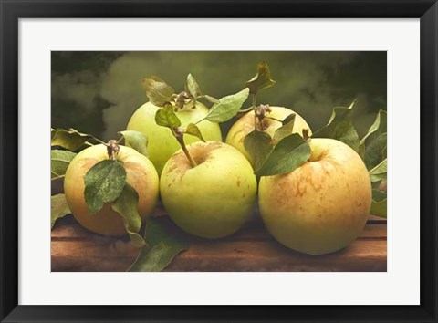 Framed Jill&#39;s Green Apples II Print