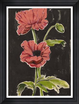 Framed Haloed Poppies I Print