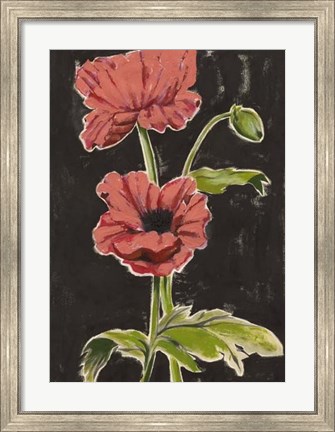Framed Haloed Poppies I Print