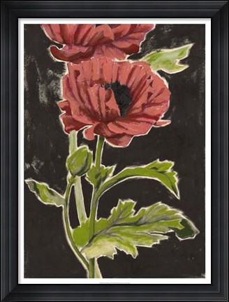Framed Haloed Poppies II Print