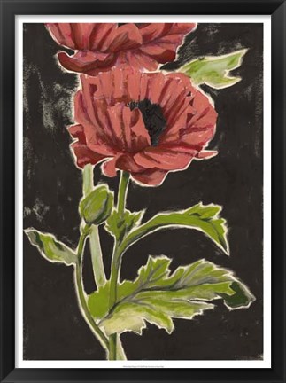 Framed Haloed Poppies II Print
