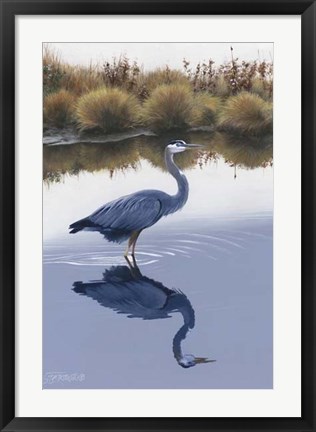 Framed Blackwater Reflections I Print