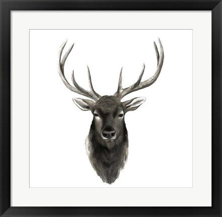 Framed Western Animal Study V Print