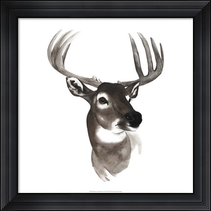 Framed Western Animal Study VI Print