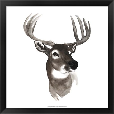 Framed Western Animal Study VI Print