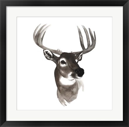 Framed Western Animal Study VI Print