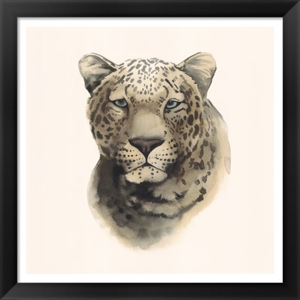 Framed Safari Cat I Print