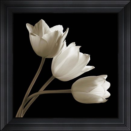 Framed Tulips Print