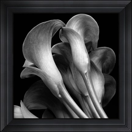Framed Lillies2 Print