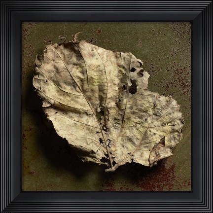 Framed Leaf Torn Print