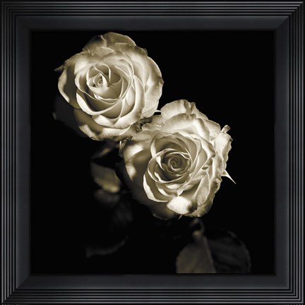 Framed Circus Roses Print