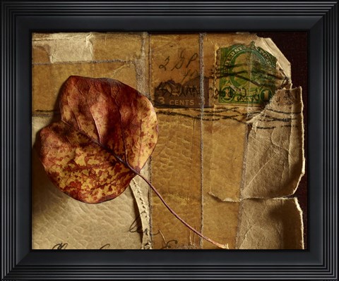 Framed Leaf Envelope Print