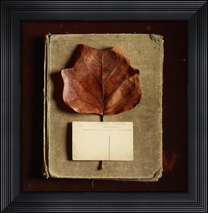 Framed Postcard Print