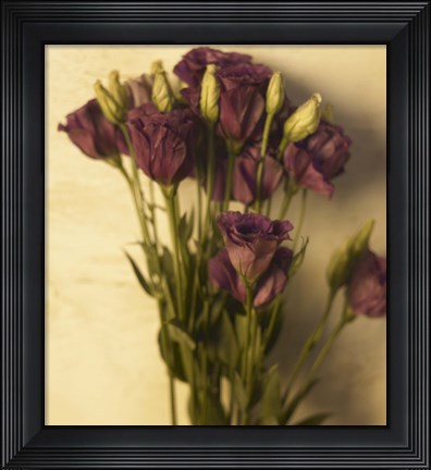 Framed Lisianthus Print