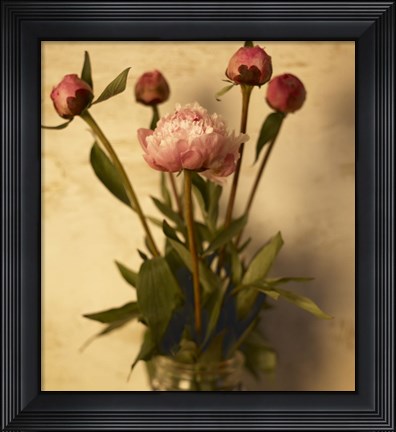 Framed Peonies Print