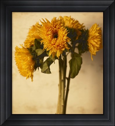 Framed Sunflowers Print