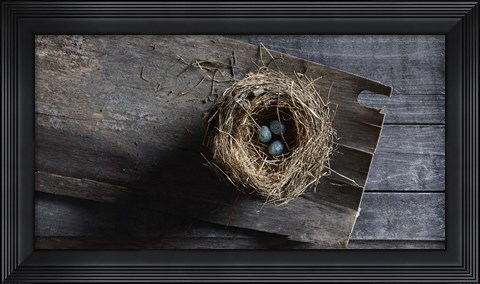 Framed Nest Eggs Print