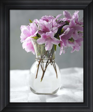Framed Azalea Print