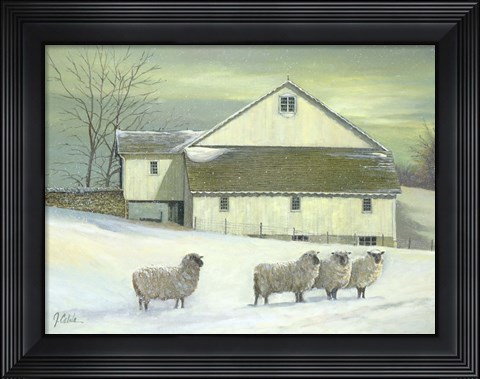 Framed Sheep At Granough Print