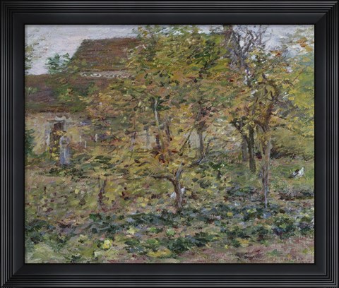 Framed Yellow Apples, 1892 Print