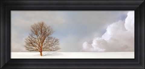 Framed Alone in the Whiteness Print