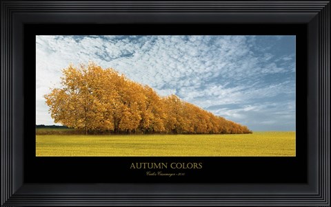 Framed Autumn Colors 1 Print