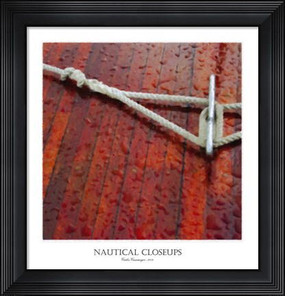 Framed Nautical Closeups 22 Print
